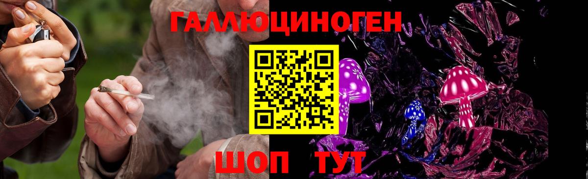Ярославль  Галлюциногенные грибы ЛСД  Вход с VPN 